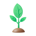 growth